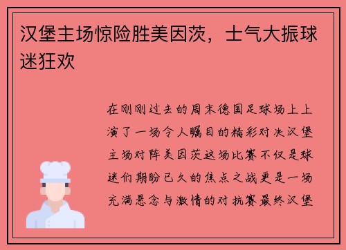 汉堡主场惊险胜美因茨，士气大振球迷狂欢